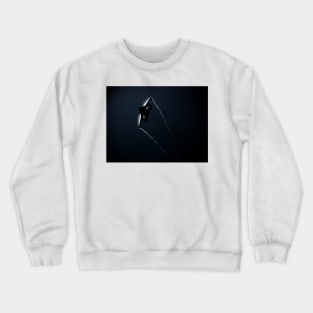 RAF Tornado pulling skywards Crewneck Sweatshirt